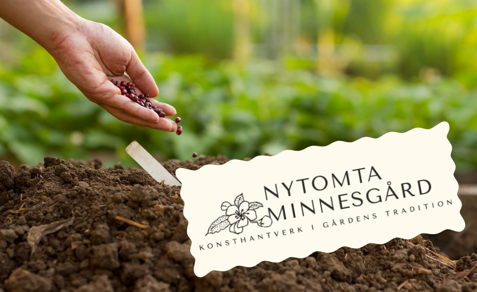 På Nytomta: Fröbytardag